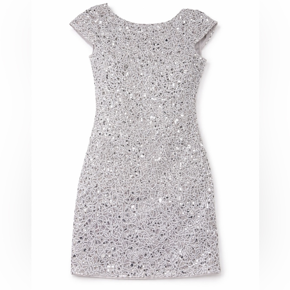 Elegant Silver Lace Dress